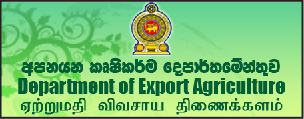 Department of Agriculture Logo